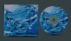 nlp-cd-cover-voda-1487150663_2.jpg